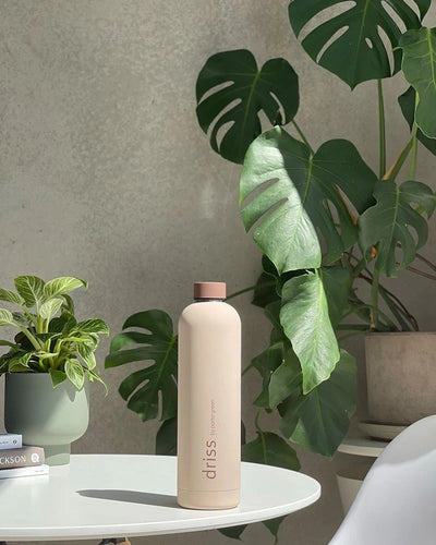 Driss | insulated stainless steel bottle | tunis