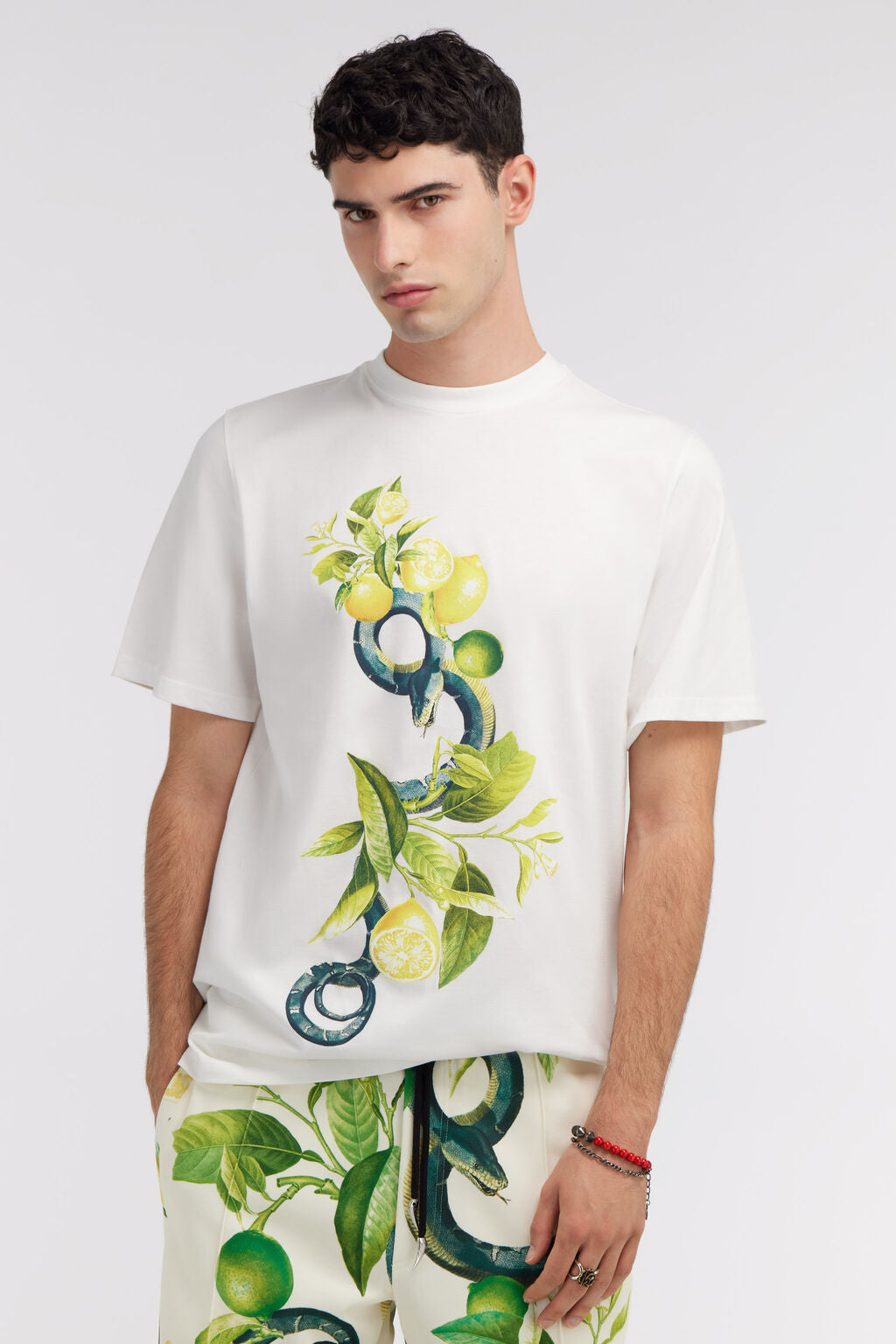 Lemon and Snake print t-shirt